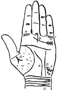 Теодор Шварц - Большая книга тайных знаний. Нумерология. Графология....