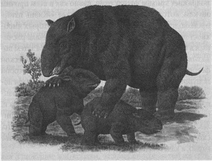 Дэвид Бирн - Весь мир: Записки велосипедиста