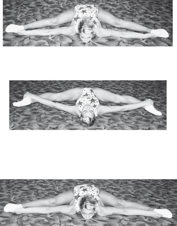 Инесса Шипилина, Игорь Самохин - Фитнес-спорт: учебник для студентов