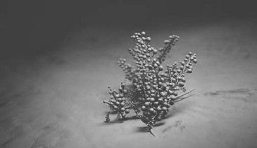 Леонид Рудницкий - Плесень - лекарство или яд?