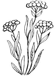 Сборник - Природа донского края