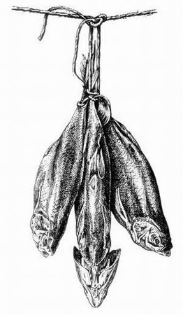 Александр Пышков, Сергей Смирнов - Рыбная кулинария для хозяек и рыболовов