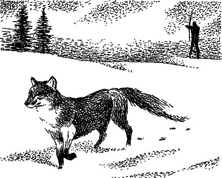 Димитр Ангелов, Йозеф Аугуста и др. - Исчезнувший мир