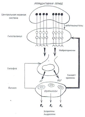 Мария Лазурная - Как достичь надежности в близких отношениях и уверенности в себе