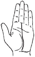 Теодор Шварц - Большая книга тайных знаний. Нумерология. Графология....