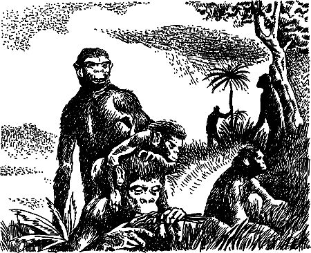 Димитр Ангелов, Йозеф Аугуста и др. - Исчезнувший мир