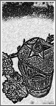 Дмитрий Гладкий - Смуглый день (сборник)