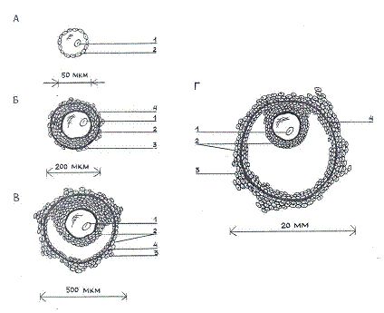 Мария Лазурная - Как достичь надежности в близких отношениях и уверенности в себе