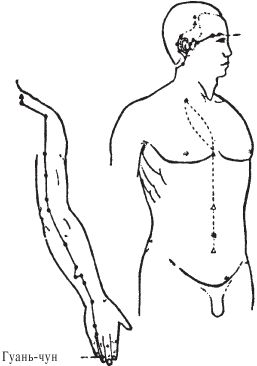 Алла Вологжанина - Острова луны