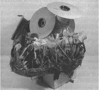 Дэвид Бирн - Весь мир: Записки велосипедиста