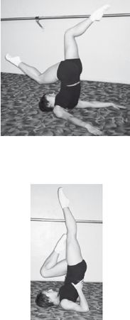 Инесса Шипилина, Игорь Самохин - Фитнес-спорт: учебник для студентов