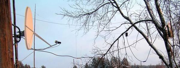 Андрей Кашкаров - Дачная энциклопедия опытных советов