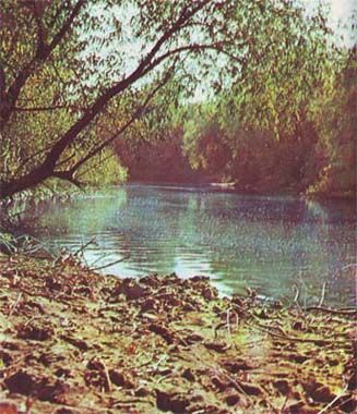 Сборник - Природа донского края