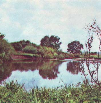 Сборник - Природа донского края