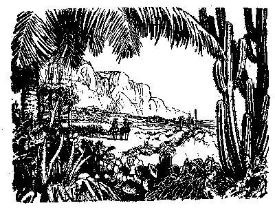 Томас Рид - Собрание сочинений, том 1. Белый вождь. Квартеронка