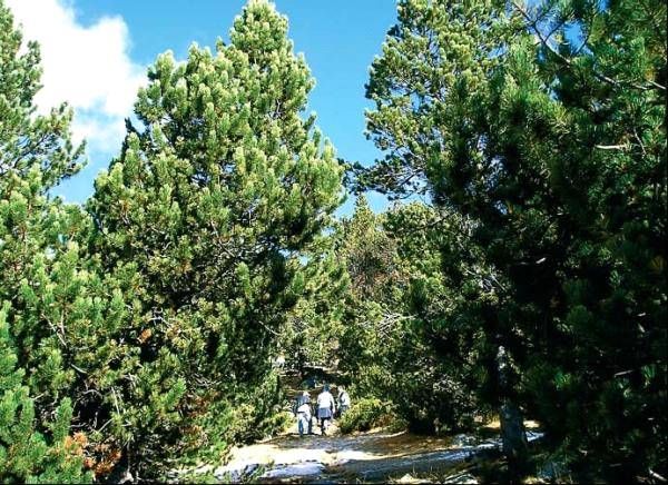 Анна Фельтина - Все об Испании