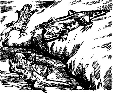 Димитр Ангелов, Йозеф Аугуста и др. - Исчезнувший мир