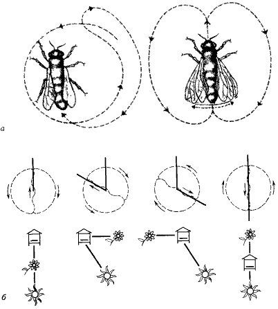 Александр Лурия - Язык и сознание