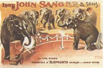 Домини Жандо - История мирового цирка