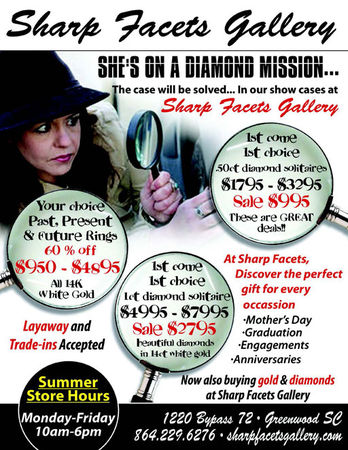 Дмитрий Стародубцев - Куда уходят львы. Книга вторая