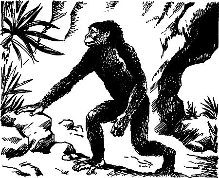 Димитр Ангелов, Йозеф Аугуста и др. - Исчезнувший мир