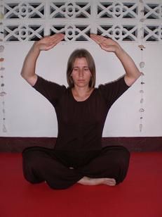 Шанти Натхини - Женские даосские практики: Период подготовки