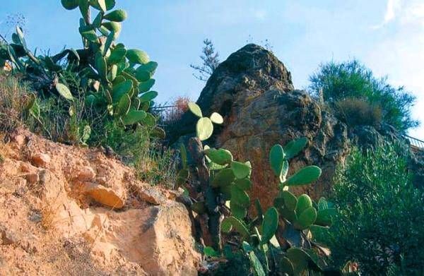 Анна Фельтина - Все об Испании