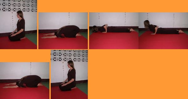 Шанти Натхини - Женские даосские практики: Период подготовки