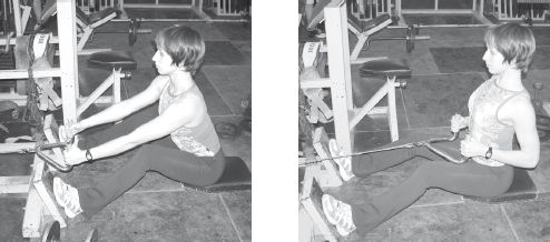 Инесса Шипилина, Игорь Самохин - Фитнес-спорт: учебник для студентов