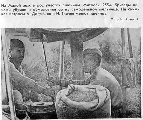 Георгий Соколов - Малая земля