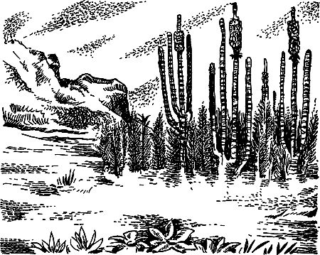 Димитр Ангелов, Йозеф Аугуста и др. - Исчезнувший мир