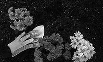 Е. Ляшенко - Сад без химии. Агротехника природного земледелия в Черноземье