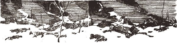 Партизан Фриц