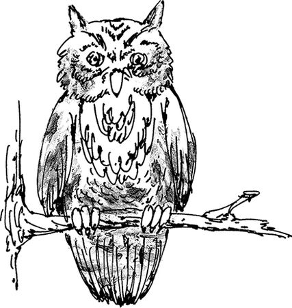 Михаил Задорнов - Записки из Твиттера