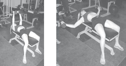 Инесса Шипилина, Игорь Самохин - Фитнес-спорт: учебник для студентов