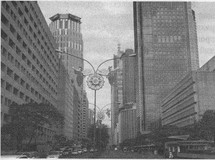 Дэвид Бирн - Весь мир: Записки велосипедиста