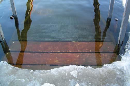 Андрей Кашкаров - Дачная энциклопедия опытных советов