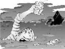 Владимир Бойко - Не служил бы я на флоте... II (сборник)