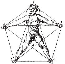 Теодор Шварц - Большая книга тайных знаний. Нумерология. Графология....