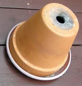 Андрей Кашкаров - Дачная энциклопедия опытных советов