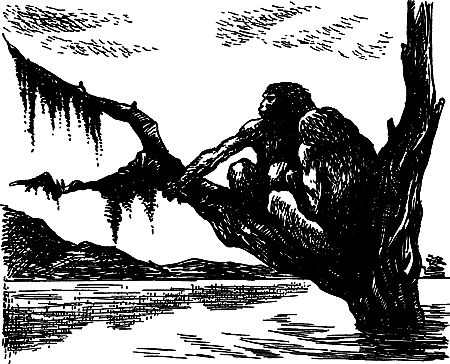 Димитр Ангелов, Йозеф Аугуста и др. - Исчезнувший мир