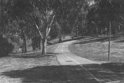 Дэвид Бирн - Весь мир: Записки велосипедиста