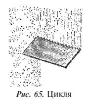 Е. Костенко - Общестроительные отделочные работы: Практическое пособие для строителя