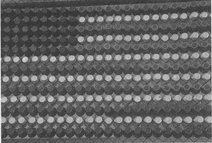 Дэвид Бирн - Весь мир: Записки велосипедиста