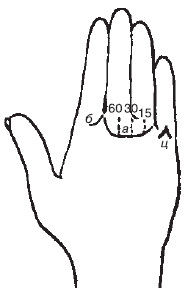 Теодор Шварц - Большая книга тайных знаний. Нумерология. Графология....