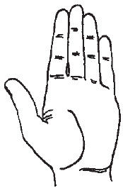 Теодор Шварц - Большая книга тайных знаний. Нумерология. Графология....