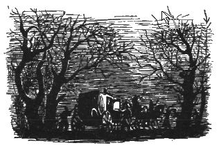 Бэла Прилежаева-Барская - Крепостной художник