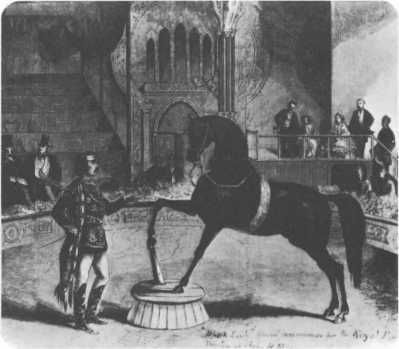 Домини Жандо - История мирового цирка