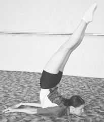 Инесса Шипилина, Игорь Самохин - Фитнес-спорт: учебник для студентов