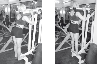 Инесса Шипилина, Игорь Самохин - Фитнес-спорт: учебник для студентов